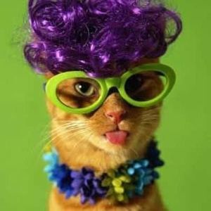 Meet your Posher, Kelley